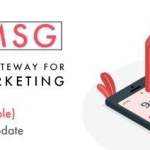PicoMSG v1.6 - Phone As an SMS Gateway For Bulk SMS Marketing - nulled