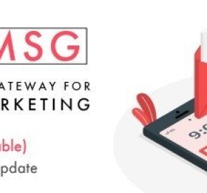 PicoMSG v1.6 - Phone As an SMS Gateway For Bulk SMS Marketing - nulled