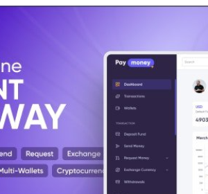 PayMoney v4.3.5 - Secure Online Payment Gateway - nulled