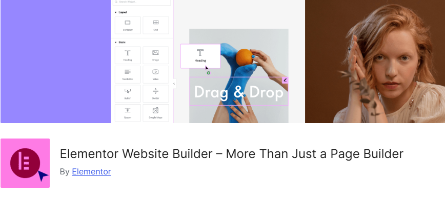 Elementor pro