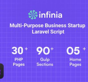 Infinia v1.1.3 - Multipurpose Business Consulting Startup Laravel Script - nulled